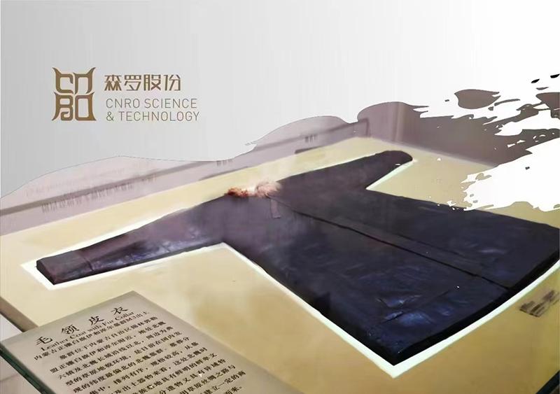 《森羅萬象》，包羅萬象第13問